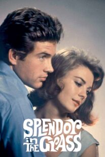 دانلود فیلم Splendor in the Grass 1961382554-907519405