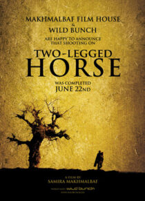 دانلود فیلم Two-Legged Horse 2008386427-910771690