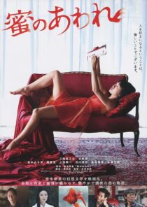 دانلود فیلم Bitter Honey 2016396770-1826850018