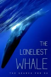 دانلود فیلم The Loneliest Whale: The Search for 52 2021403098-1811347845
