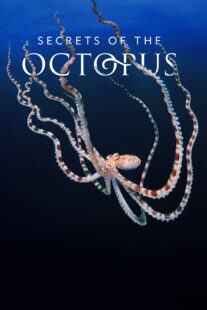 دانلود سریال Secrets of the Octopus401286-1539227305