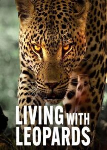 دانلود مستند Living with Leopards 2024400477-1851350487
