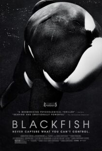 دانلود فیلم Blackfish 2013412328-2066778572
