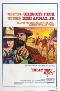 دانلود فیلم Billy Two Hats 1974411057-36418049
