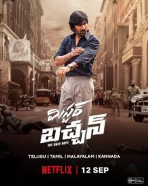 دانلود فیلم هندی Mr. Bachchan 2024413708-1309442