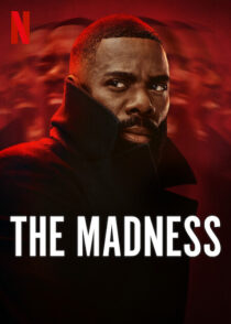 دانلود سریال The Madness415923-1378553102