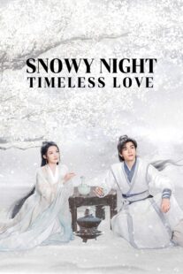 دانلود سریال Snowy Night Timeless Love417168-2081523897