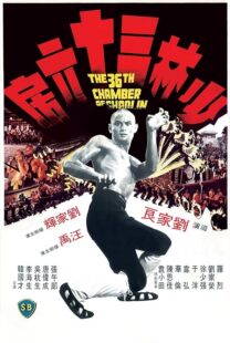 دانلود فیلم The 36th Chamber of Shaolin 1978418237-1573602201