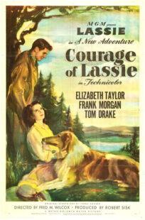 دانلود فیلم Courage of Lassie 1946417427-1395979638