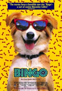 دانلود فیلم Bingo 1991417459-1844477741