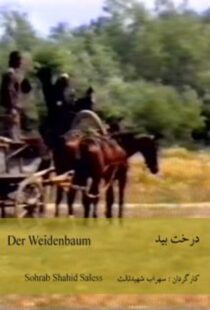 دانلود فیلم The Willow Tree 1984418953-1015633563