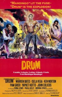 دانلود فیلم Drum 1976423508-1757409378