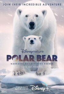 دانلود مستند Polar Bear 2022422974-62893682