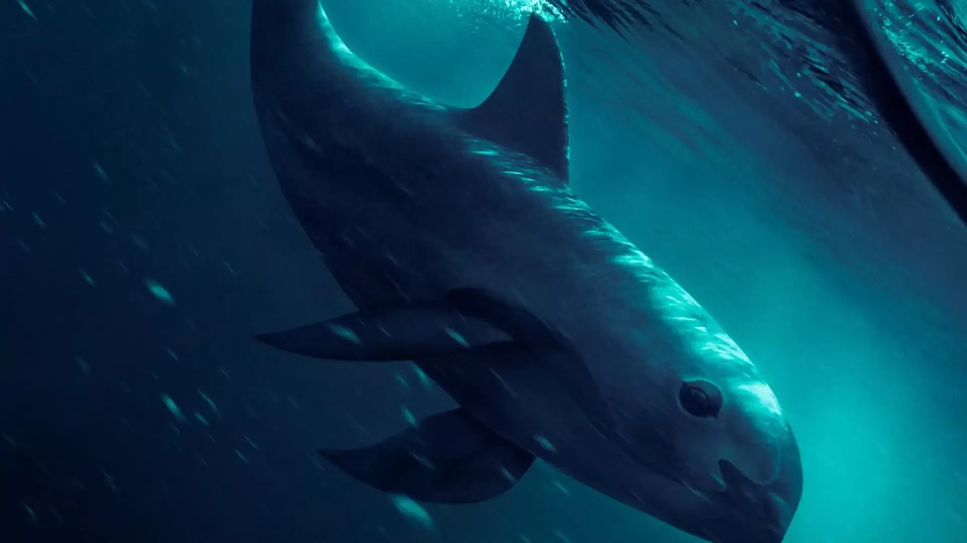 دانلود فیلم Sea of Shadows 2019