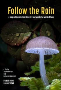 دانلود مستند Follow the Rain 2024425379-1829136599