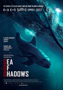 دانلود فیلم Sea of Shadows 2019427147-96801538