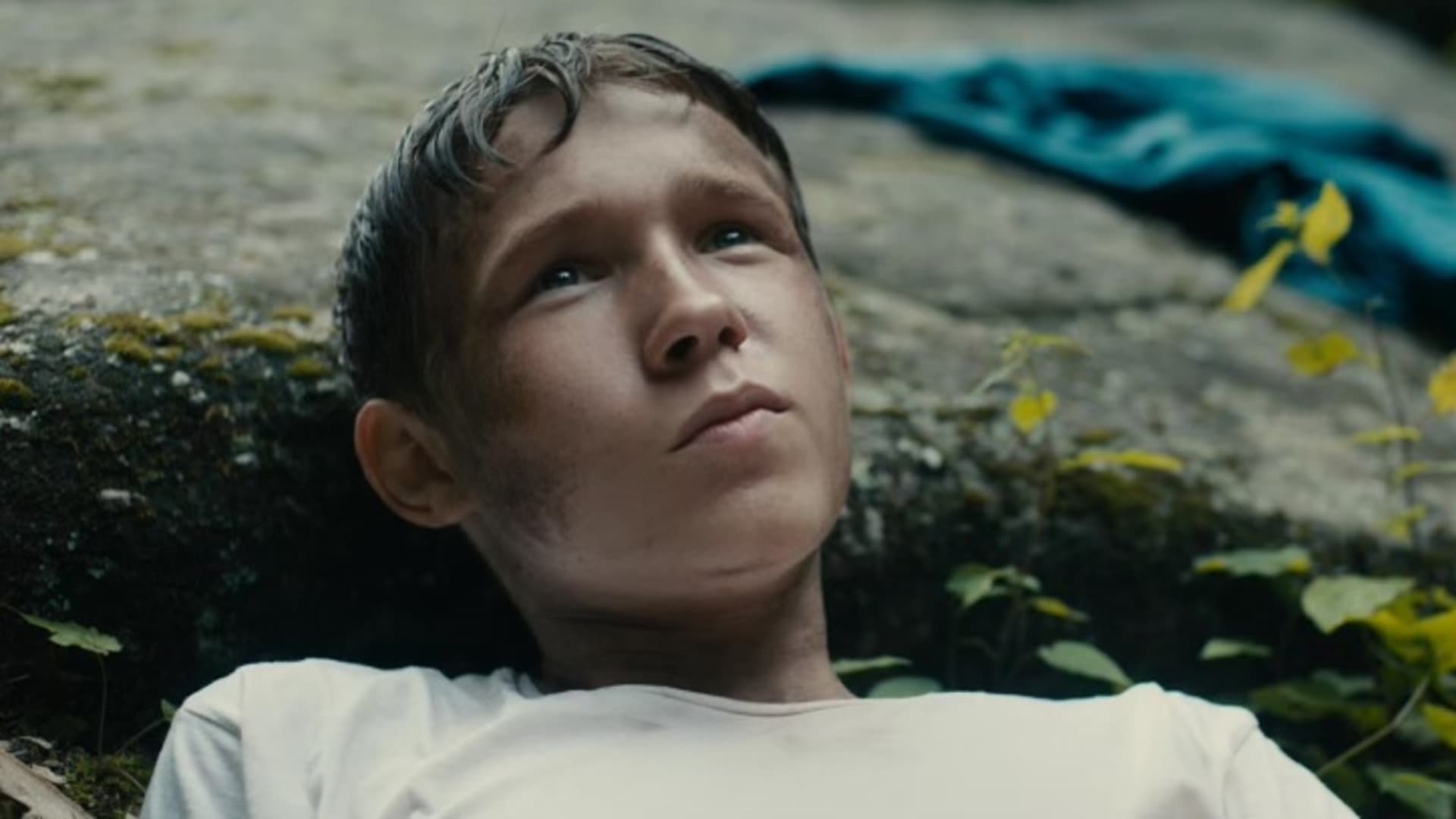 دانلود فیلم Lost on a Mountain in Maine 2024