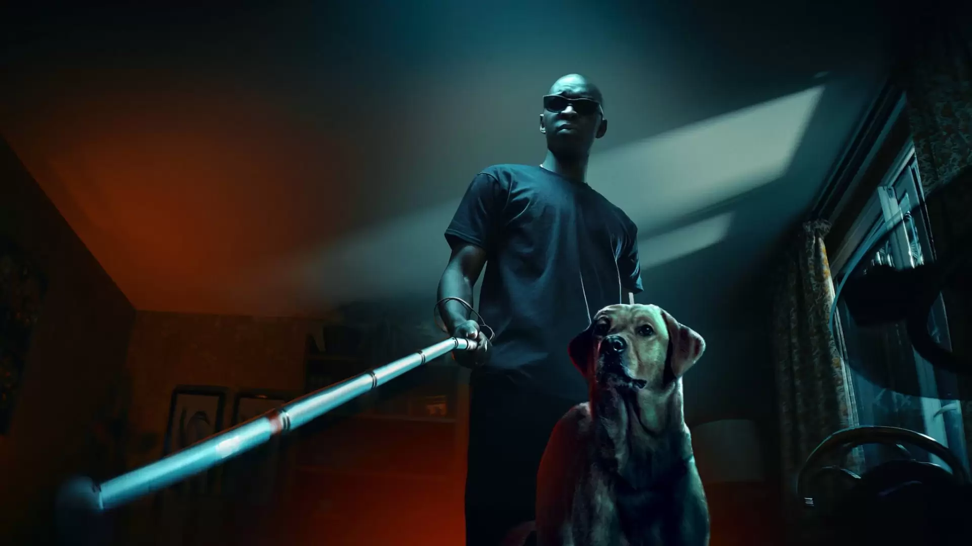 دانلود فیلم In His Shadow 2023