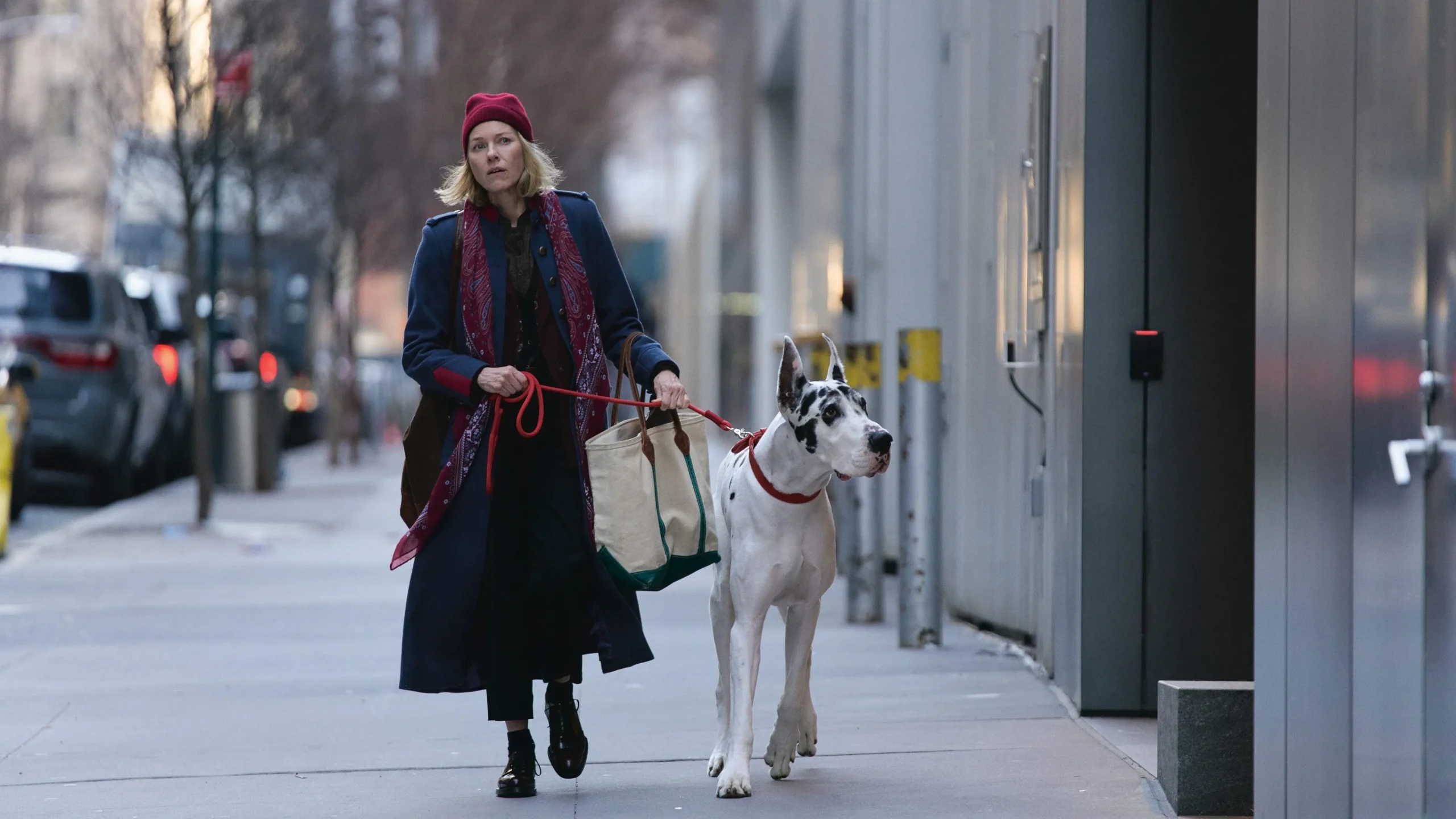 دانلود فیلم The Friend 2024