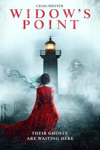 دانلود فیلم Widow’s Point 2019428433-2039230420