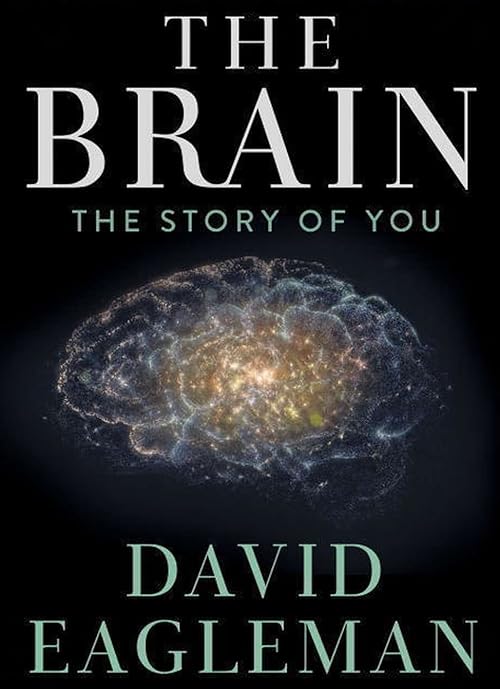 دانلود سریال The Brain with Dr. David Eagleman