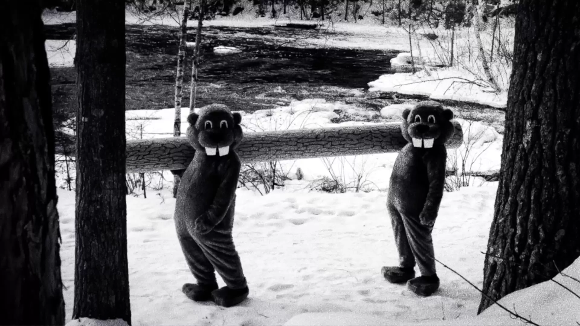 دانلود فیلم Hundreds of Beavers 2022