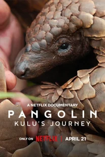 دانلود مستند Pangolin: Kulu’s Journey 2025430703-1103530865