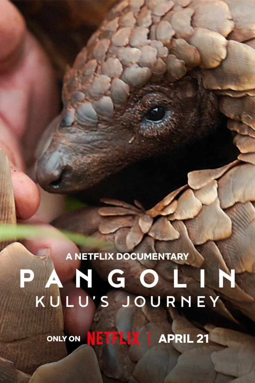دانلود مستند Pangolin: Kulu’s Journey 2025