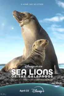 دانلود مستند Sea Lions of the Galapagos 2025431056-1953006502