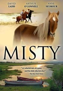 دانلود فیلم Misty 1961436665-331981022