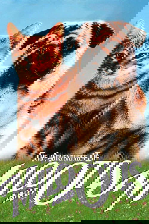 دانلود فیلم The Adventures of Milo and Otis 1986