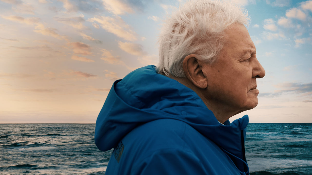 دانلود مستند Ocean with David Attenborough 2025