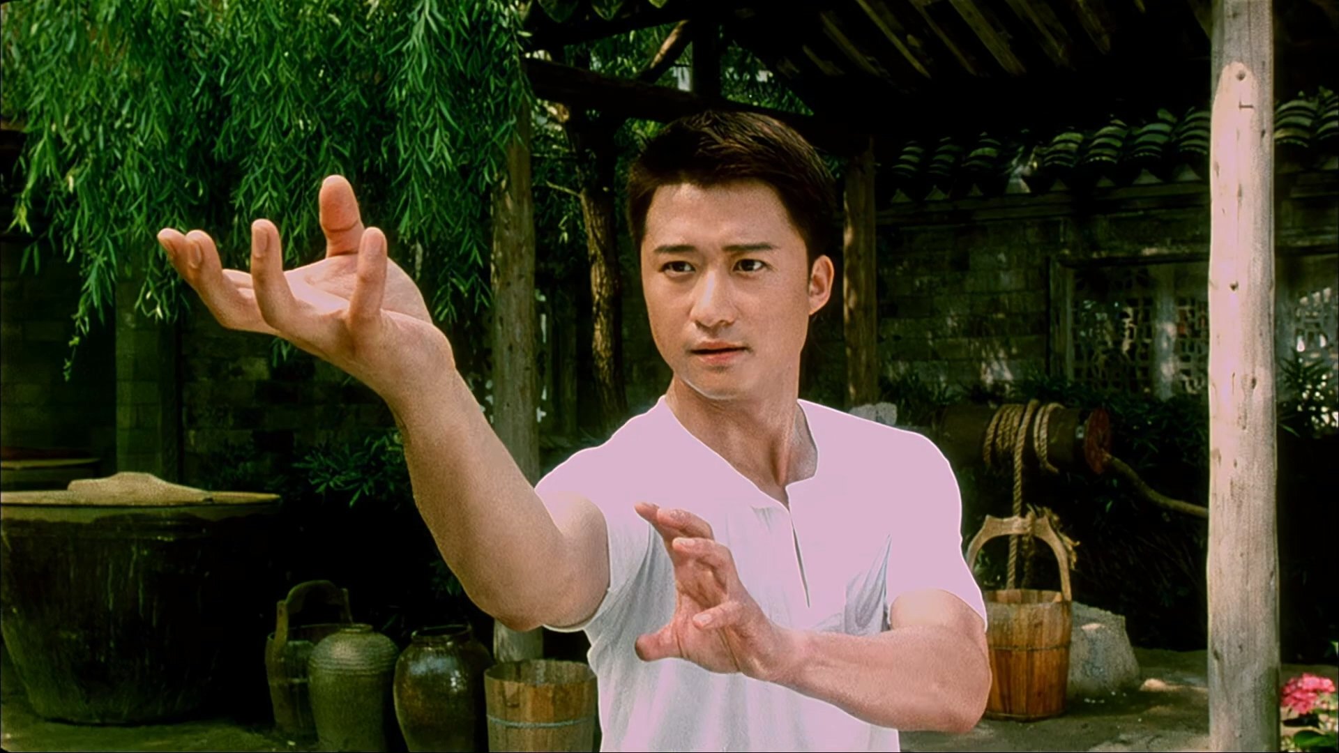 دانلود فیلم Drunken Monkey 2003