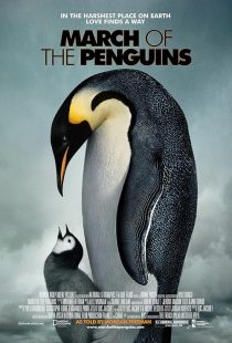 دانلود مستند March of the Penguins 2005441432-2053136054