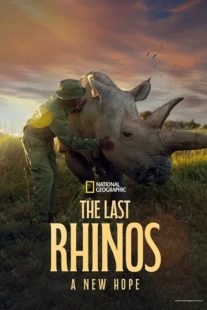 دانلود مستند The Last Rhinos A New Hope 2025439760-910096073