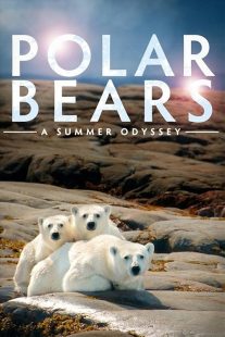 دانلود فیلم Polar Bears: A Summer Odyssey 2012441553-1778127842