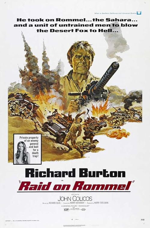 دانلود فیلم Raid on Rommel 1971