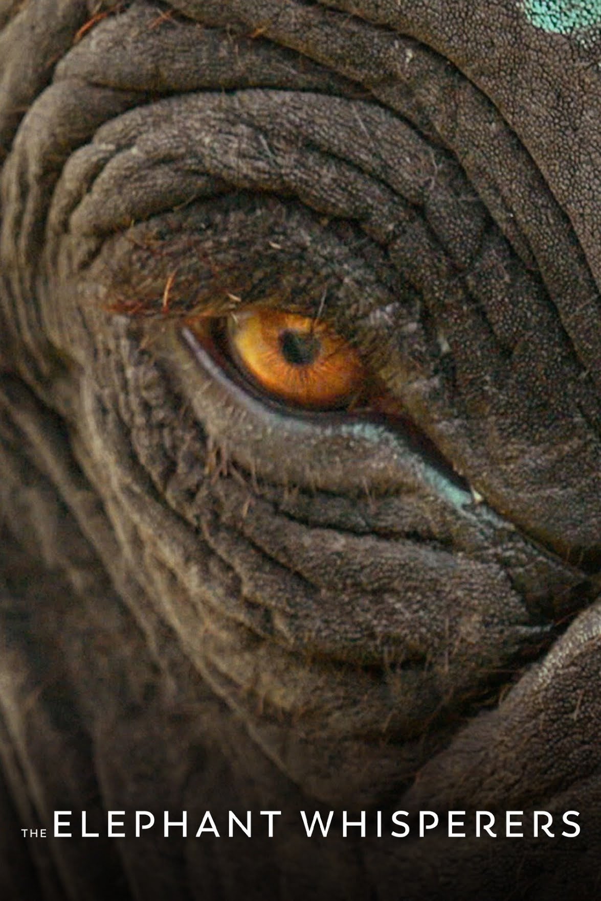 دانلود مستند هندی The Elephant Whisperers 2022