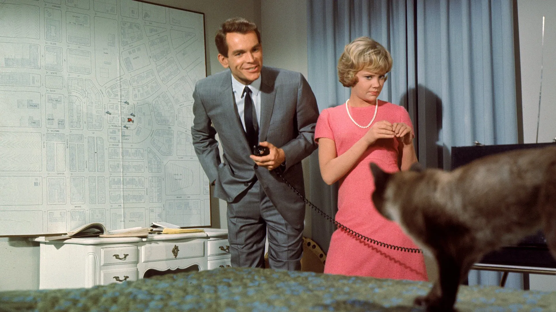 دانلود فیلم That Darn Cat! 1965