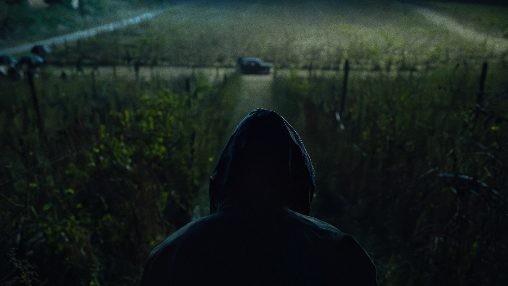 دانلود سریال The Monster of Florence