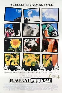 دانلود فیلم Black Cat, White Cat 1998444406-1706302772