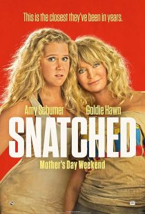 دانلود فیلم Snatched 2017446581-357761810