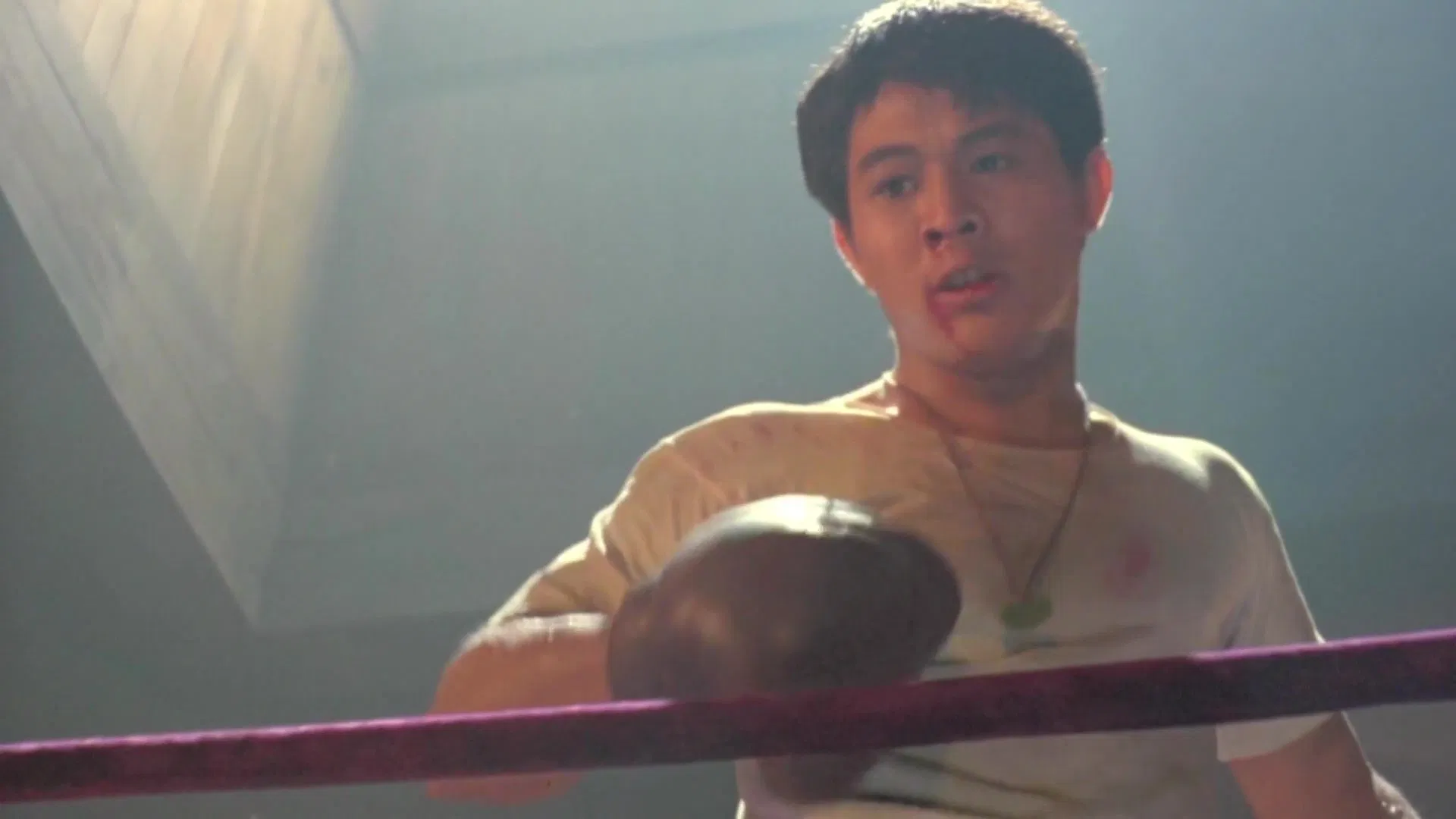 دانلود فیلم Born to Defense 1988