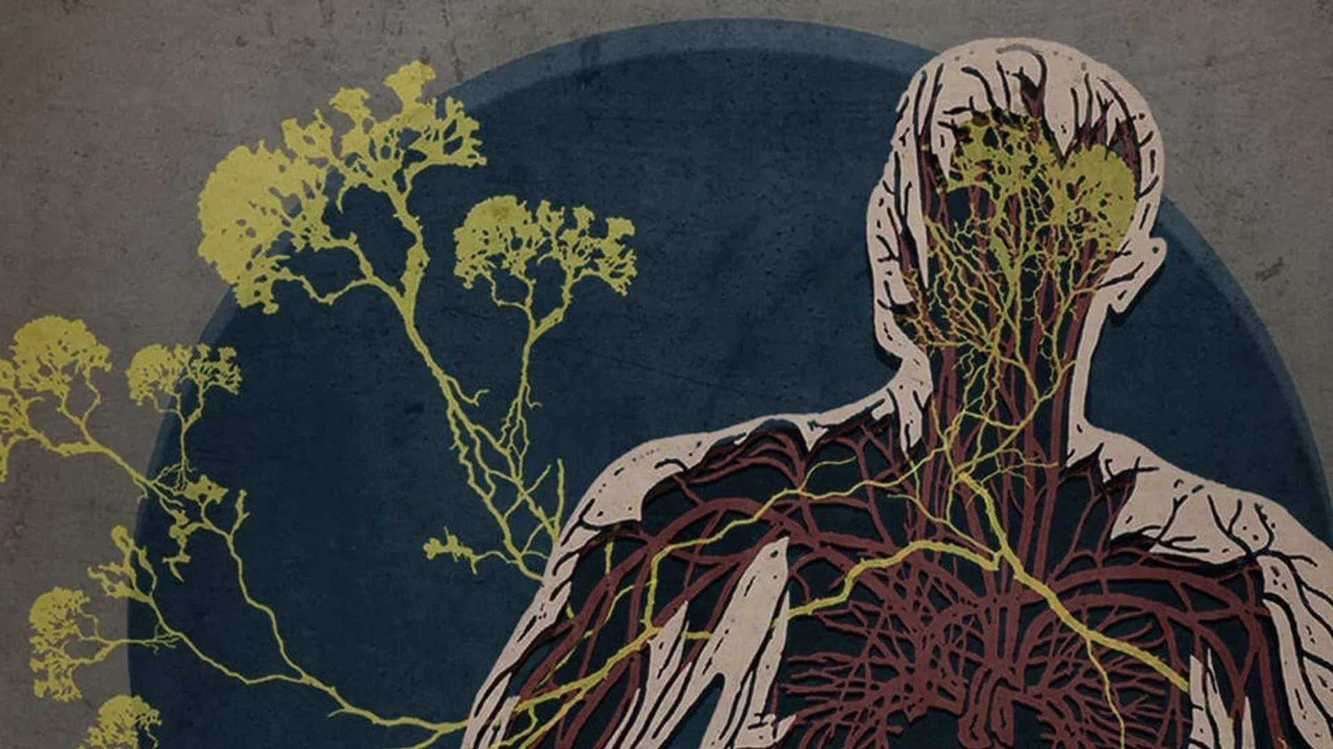 دانلود مستند The Creeping Garden 2014