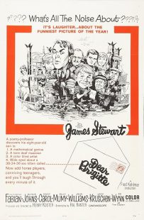 دانلود فیلم Dear Brigitte 1965449783-945554115