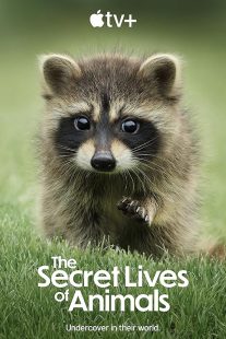 دانلود مستند The Secret Lives of Animals448835-1722937689