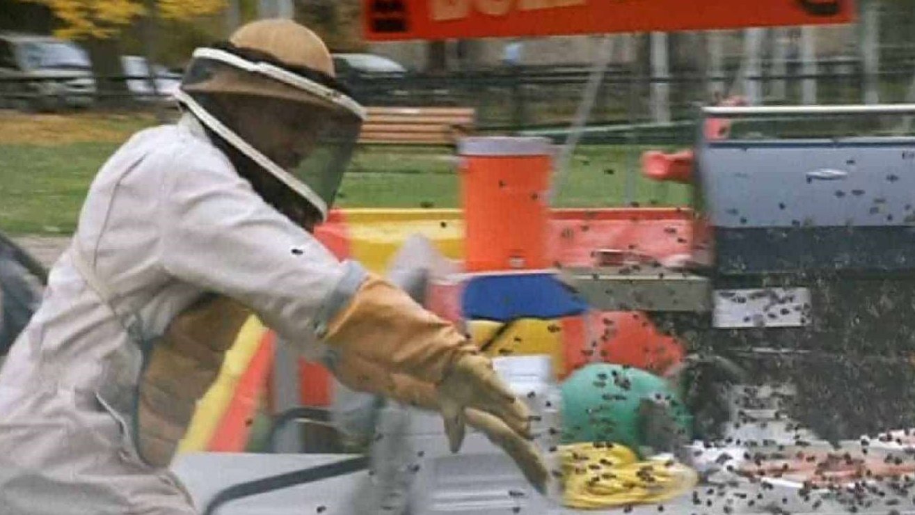 دانلود فیلم Swarmed 2005