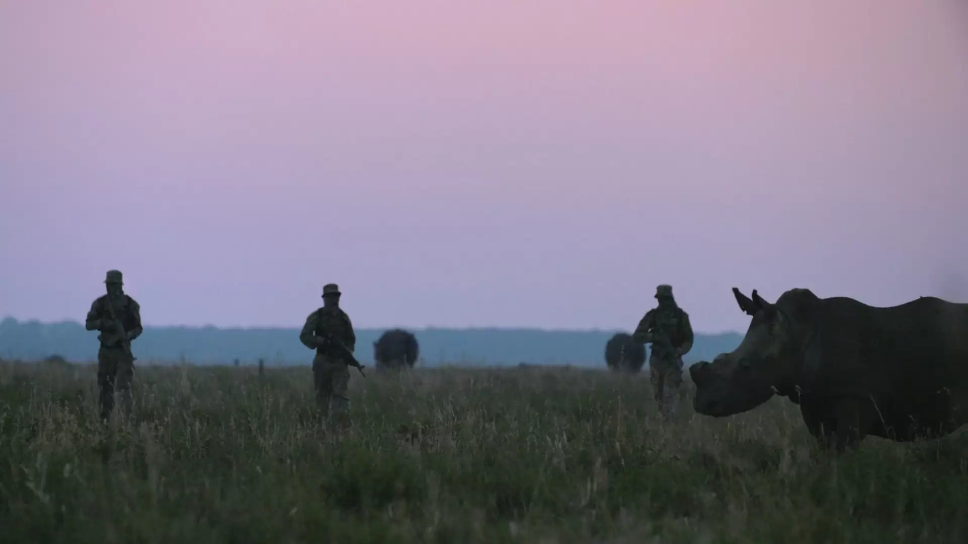 دانلود فیلم Trophy 2017