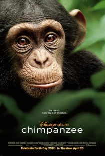 دانلود مستند Chimpanzee 2011451940-671962164