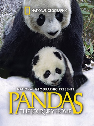 دانلود مستند Pandas: The Journey Home 2014